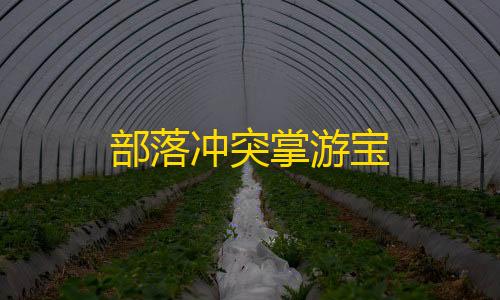 暗区突围方框透视小六云手机极速版